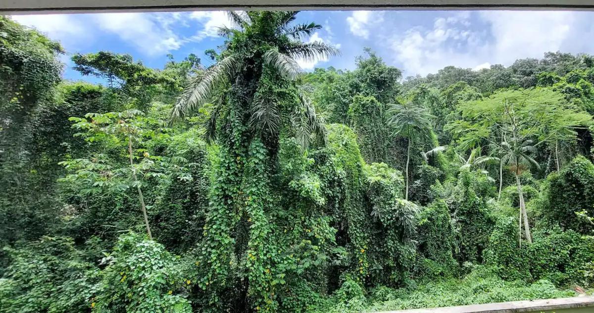 Apto Moderno E Confortavel - Praia Grande Ubatuba Exteriör bild